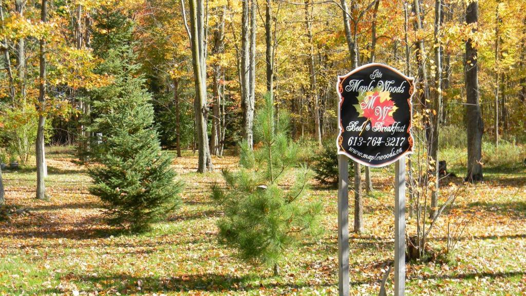 Maple Woods Bed & Breakfast Casselman Exterior foto